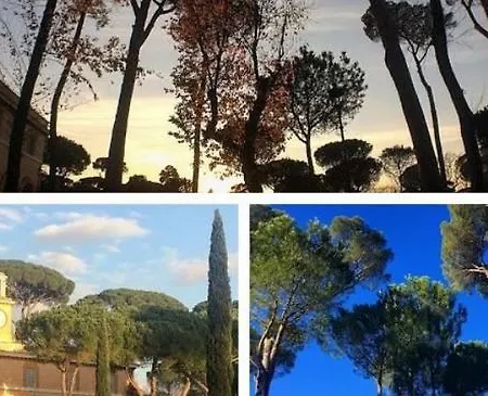 Panama Garden Rome